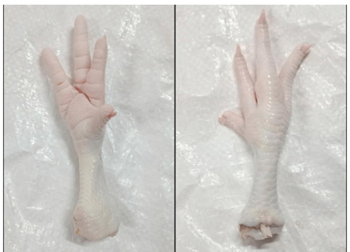 Representative view of Chicken Products