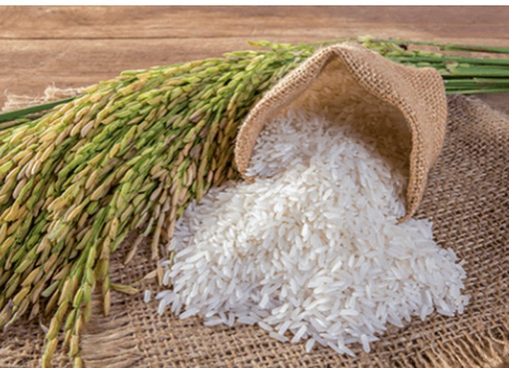 Representative view of Sarbati Rice